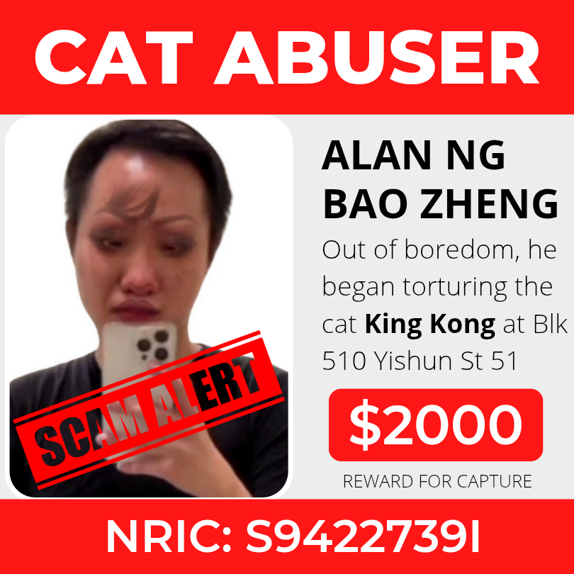 Online impersonation and scam warning profile